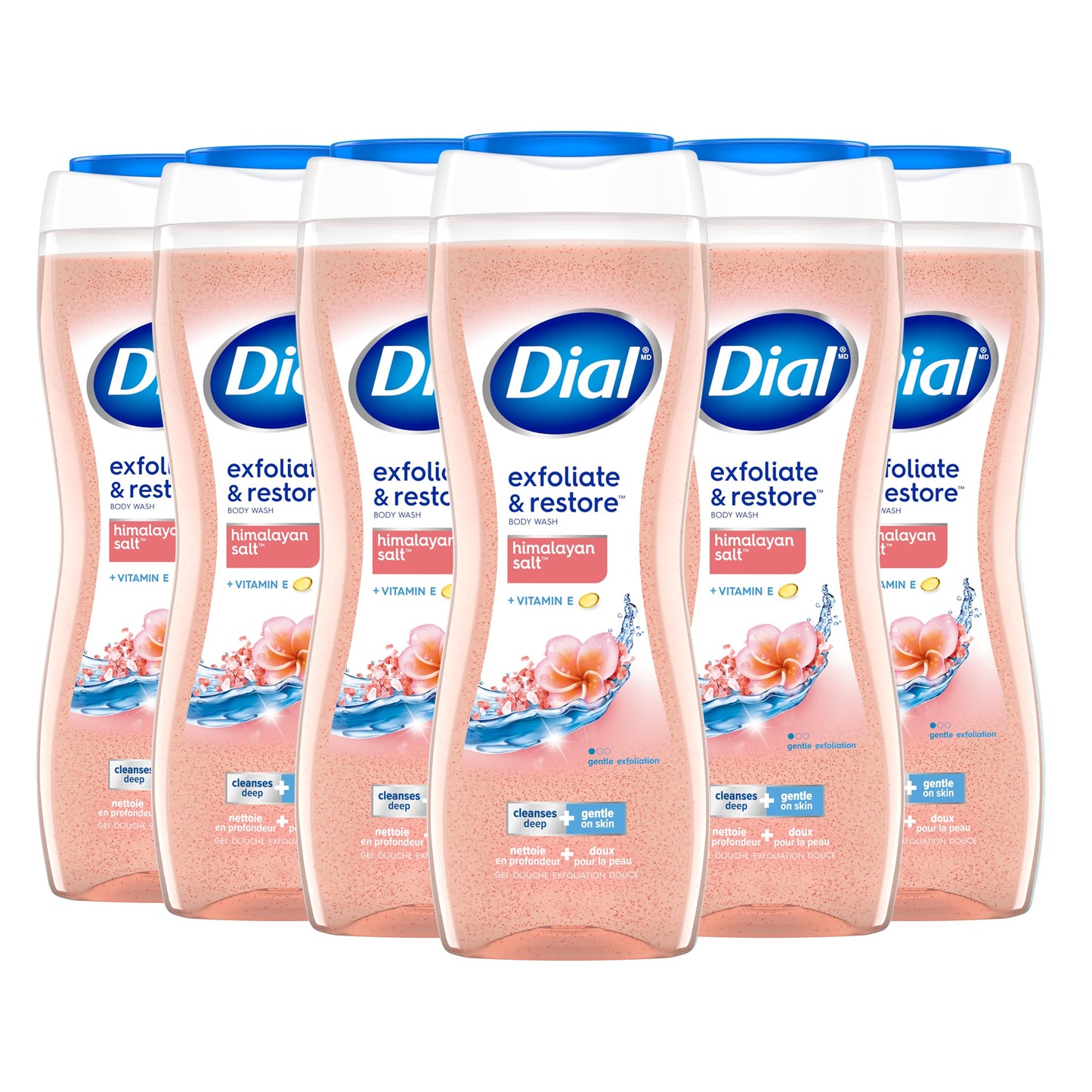 Dial Body Wash, Smoothe & Restore Himalayan Salt, 16 Fl Oz, Pack of 6